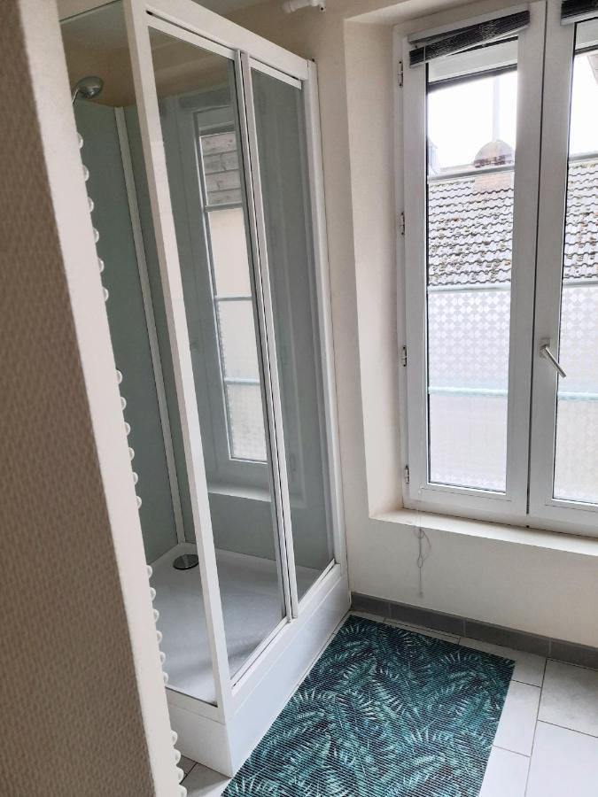 Apartamento Animalier Joigny Exterior foto
