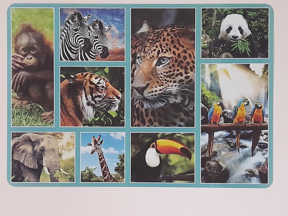 Apartamento Animalier Joigny Exterior foto